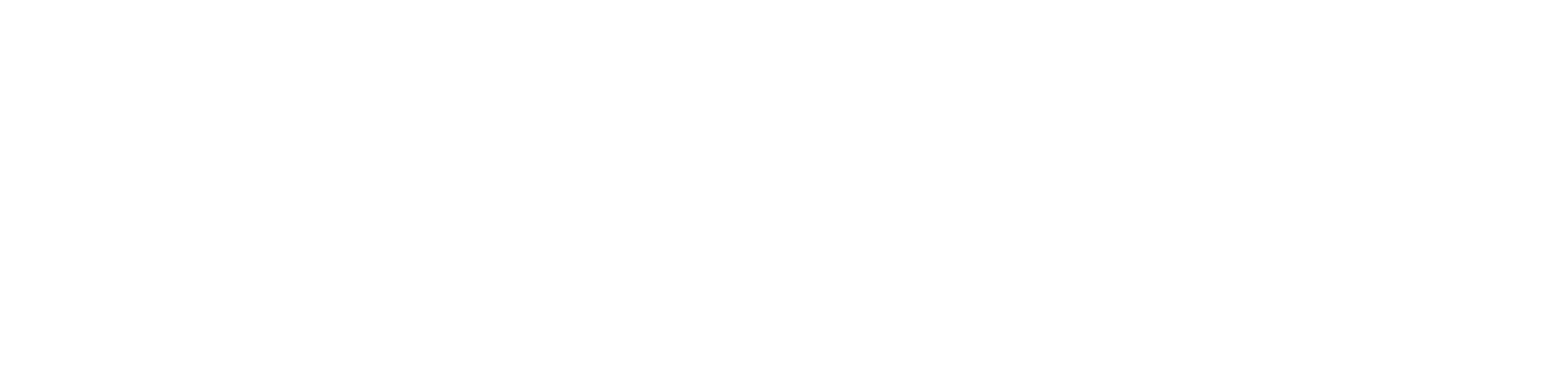 MCVFLP